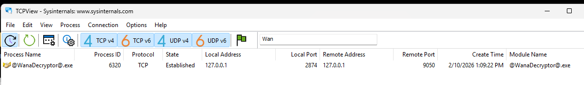 TCPView showing localhost connection