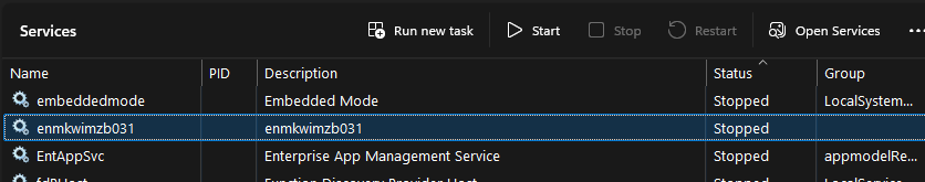 Windows Services showing the malicious service